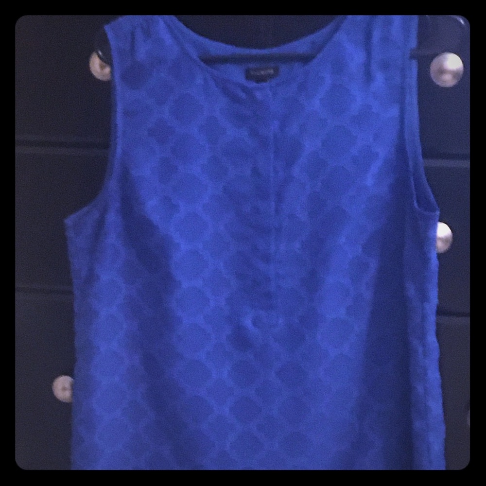 Blue Talbots tank top